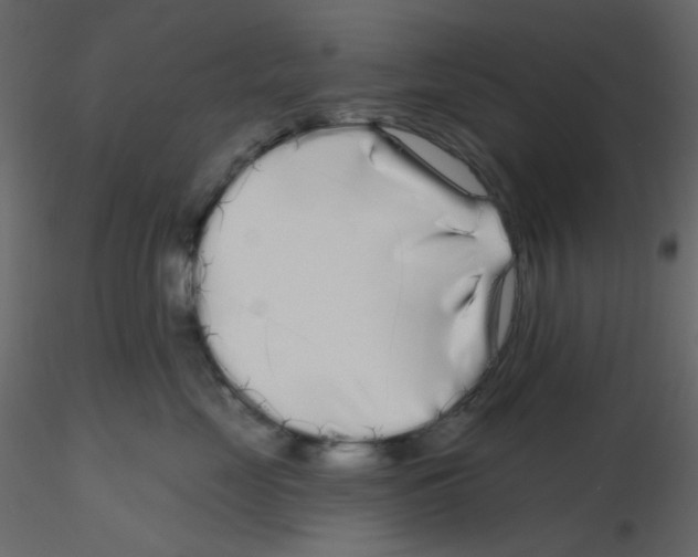 X0000115690669200912241503