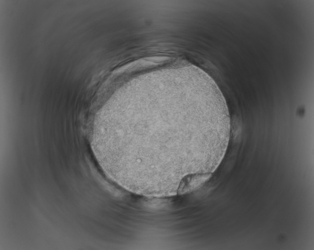 X0000115690670200912241503