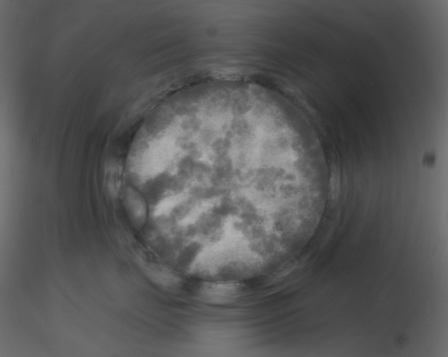 X0000115690671200912241503