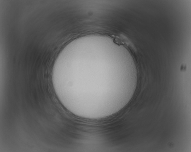 X0000115690672200912241503