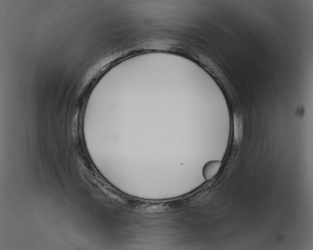 X0000115690675200912241502