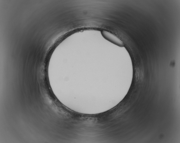 X0000115690676200912241502