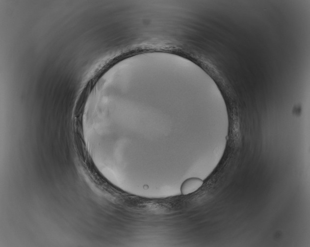 X0000115690678200912241502