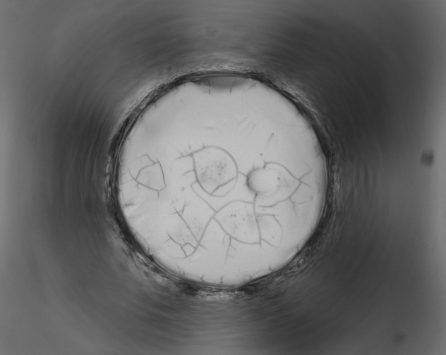 X0000115690679200912241502