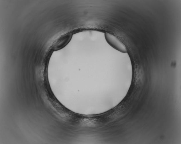 X0000115690680200912241502