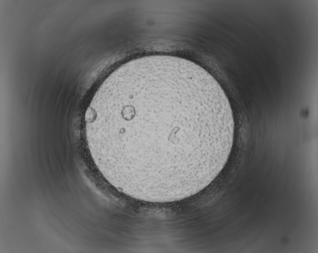 X0000115690683200912241502