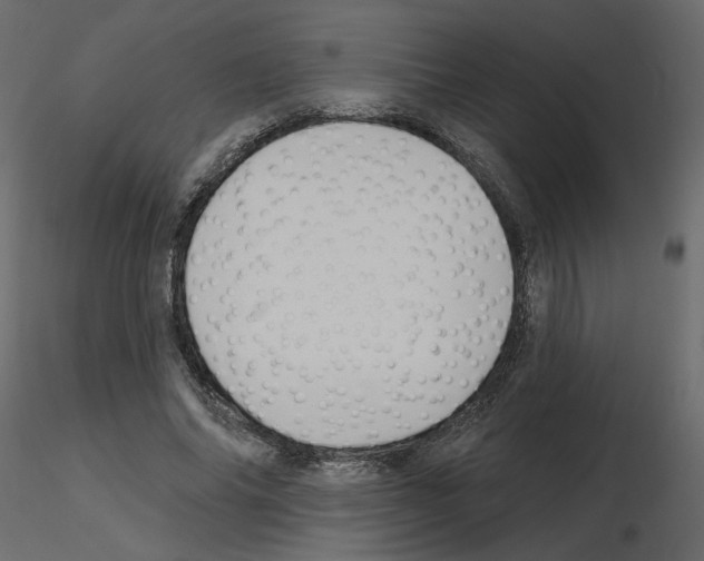 X0000115690686200912241502