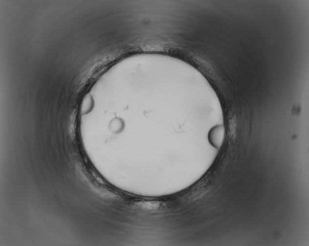 X0000115690687200912241502