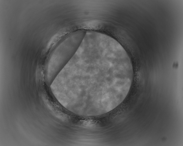 X0000115690688200912241502