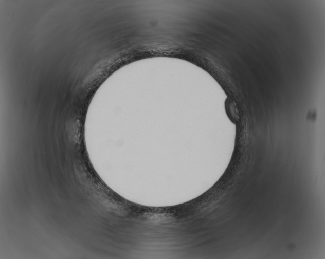 X0000115690689200912241502