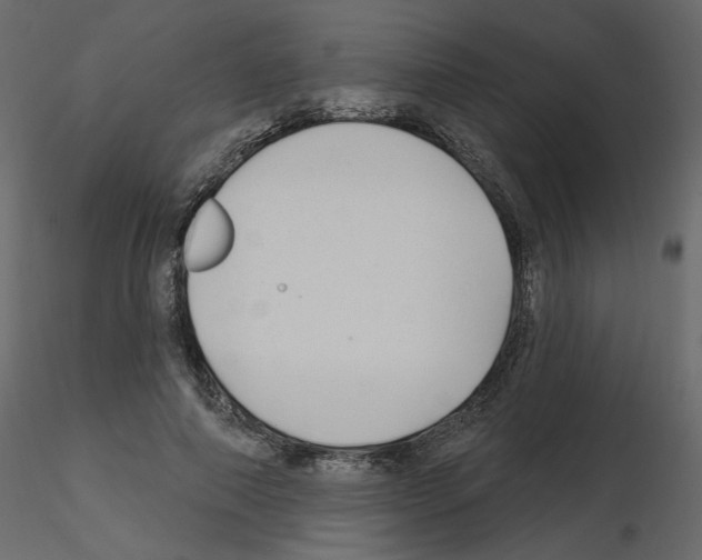 X0000115690690200912241502