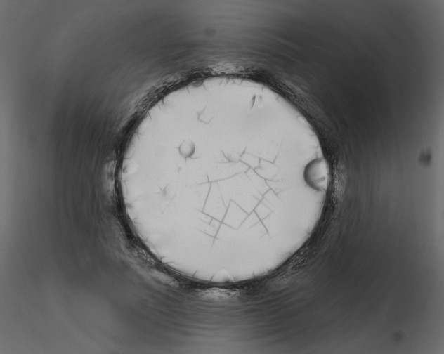 X0000115690691200912241502