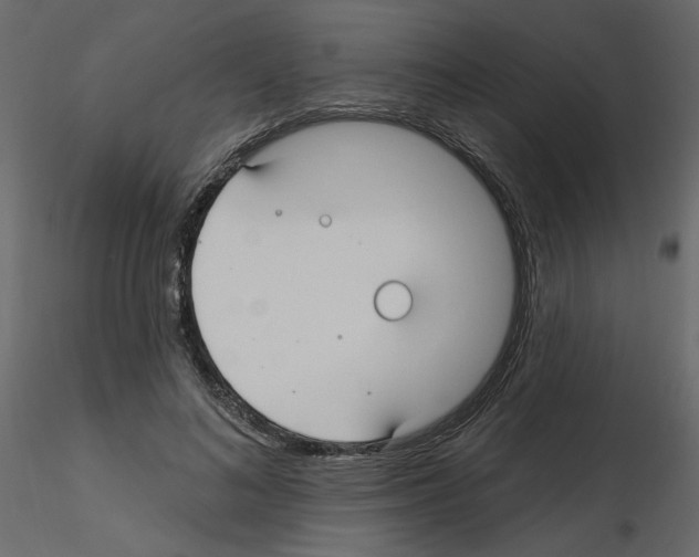 X0000115690692200912241502