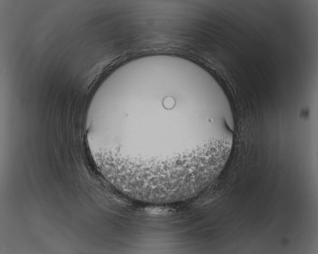 X0000115690693200912241502