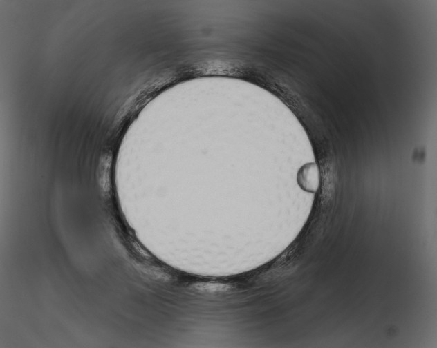 X0000115690695200912241502