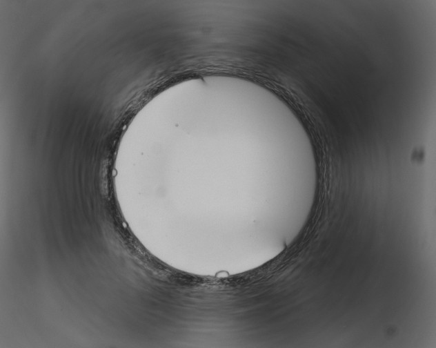 X0000115690696200912241502
