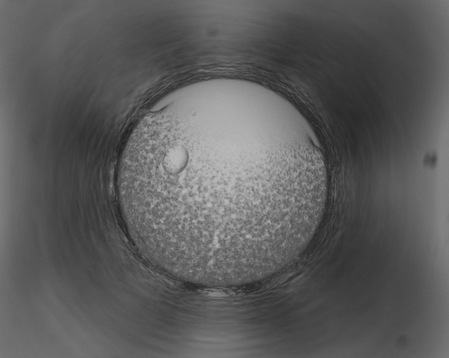 X0000115690697200912241502