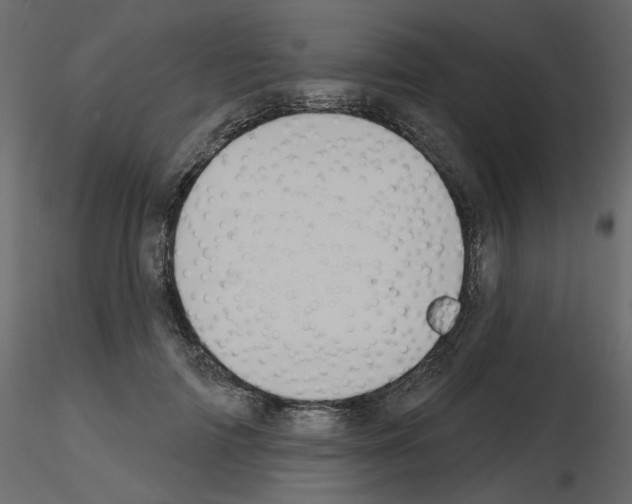 X0000115690698200912241502