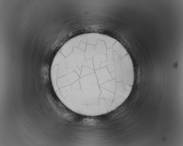 X0000115690699200912241502
