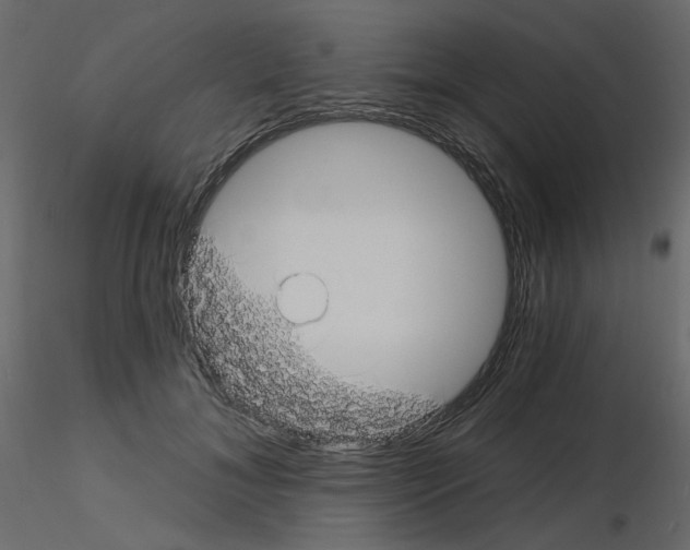 X0000115690700200912241502