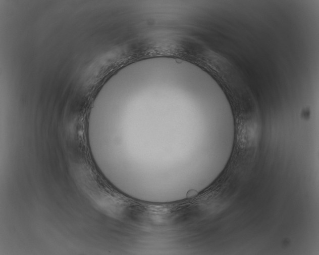 X0000115690701200912241502
