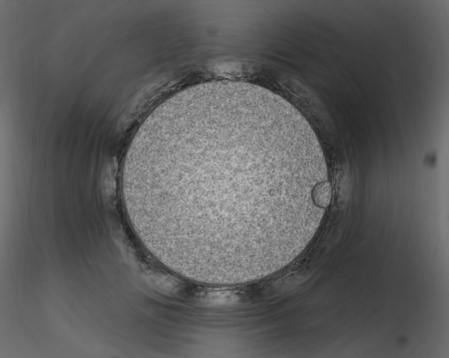 X0000115690702200912241502