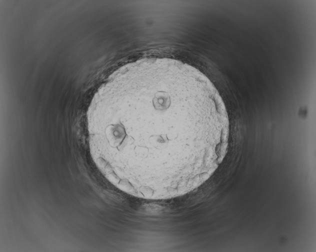 X0000115690703200912241502