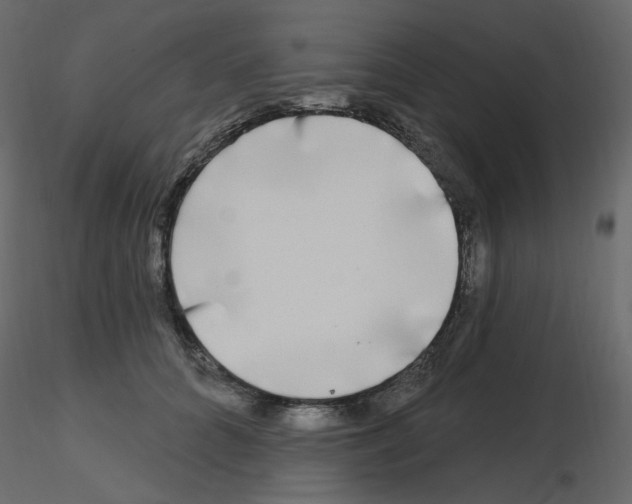 X0000115690704200912241502