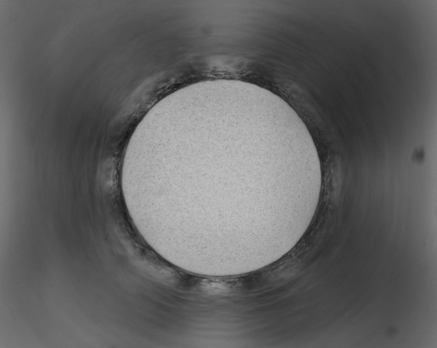 X0000115690706200912241502
