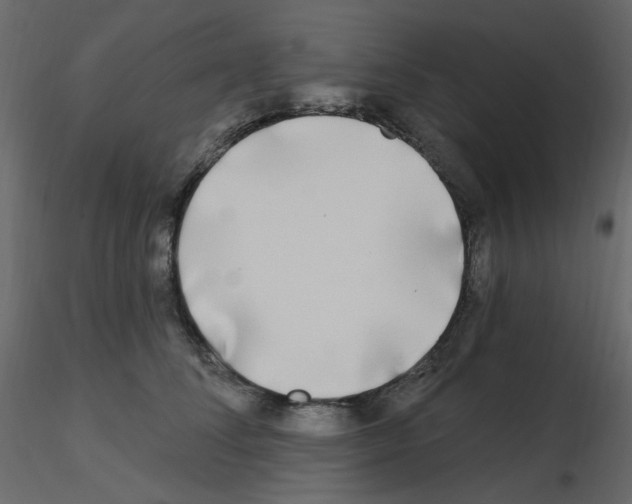 X0000115690708200912241502