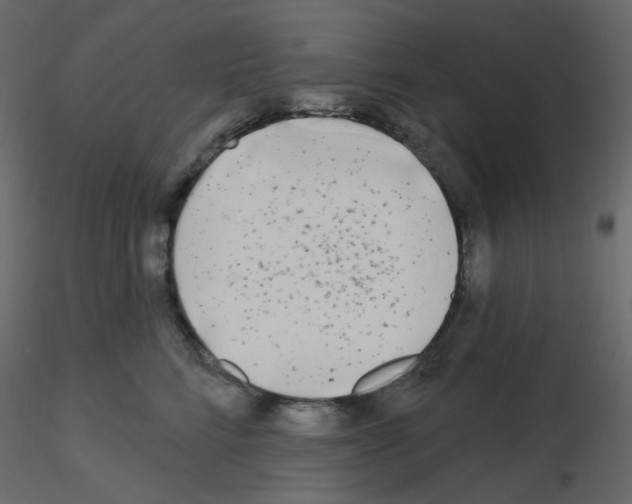 X0000115690712200912241502