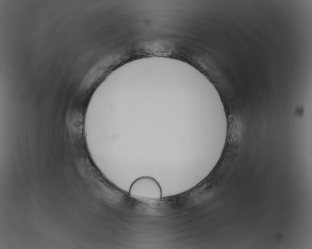X0000115690713200912241502