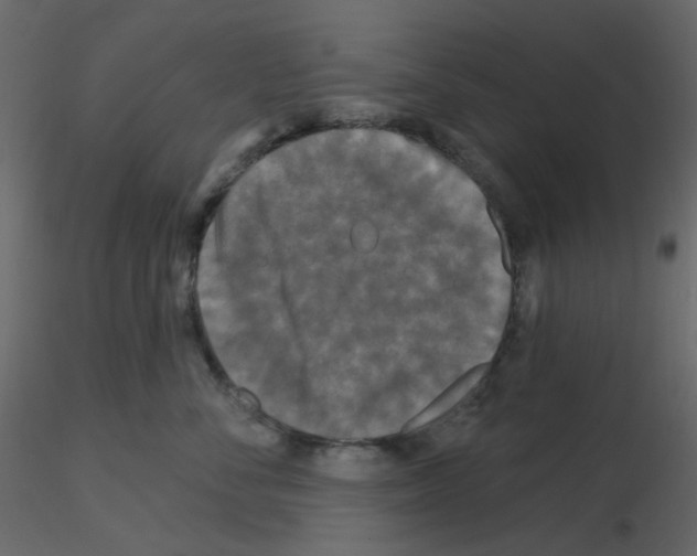 X0000115690716200912241502