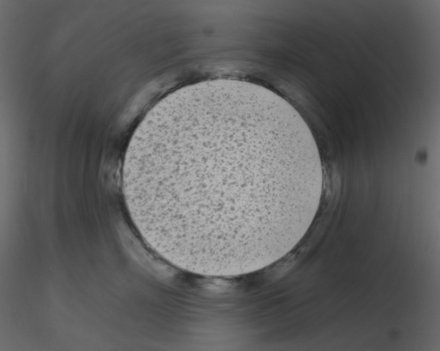 X0000115690718200912241502