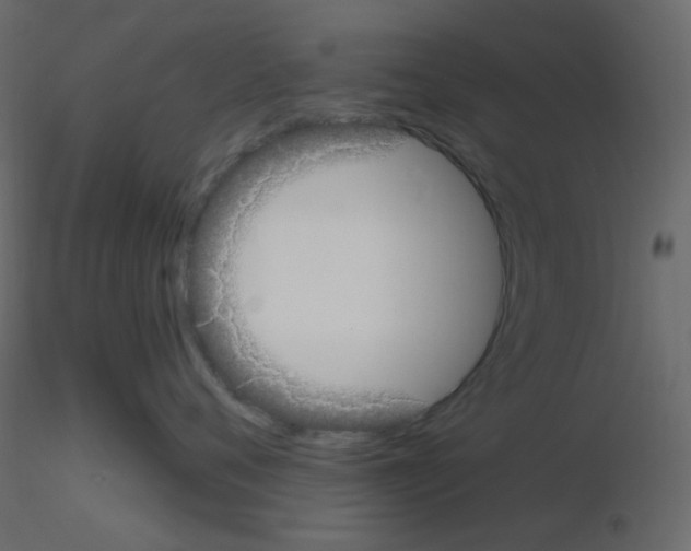 X0000115690720200912241502