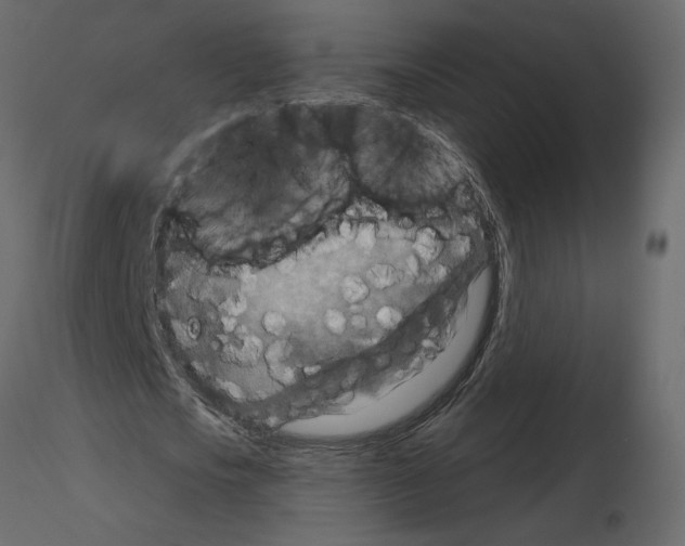 X0000115690721200912241501
