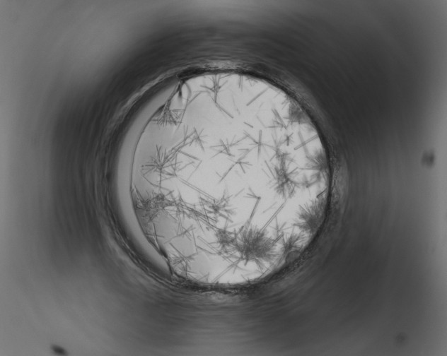 X0000115690722200912241501