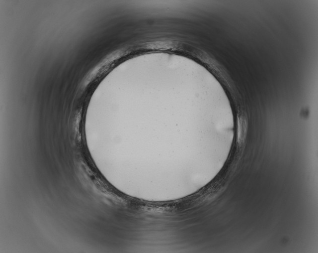 X0000115690723200912241501