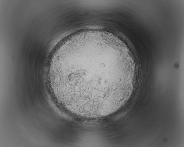X0000115690725200912241501