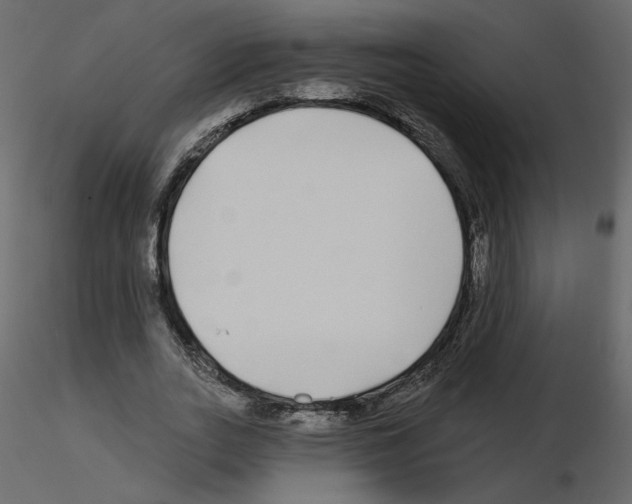 X0000115690727200912241501