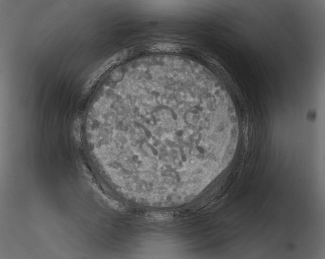 X0000115690729200912241501