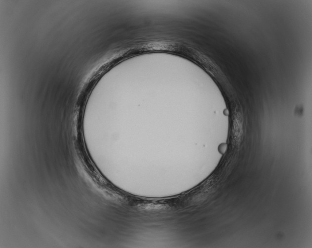 X0000115690730200912241501