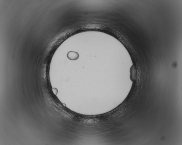 X0000115690731200912241501