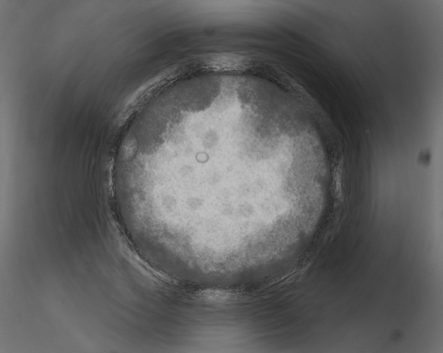 X0000115690733200912241501