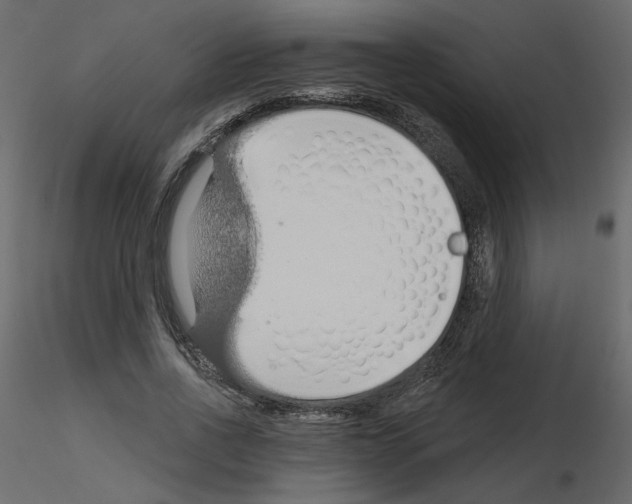 X0000115690734200912241501