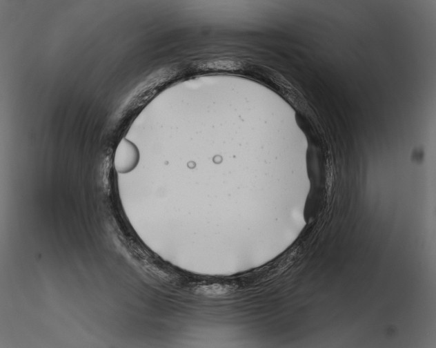 X0000115690735200912241501