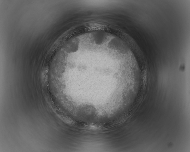 X0000115690737200912241501