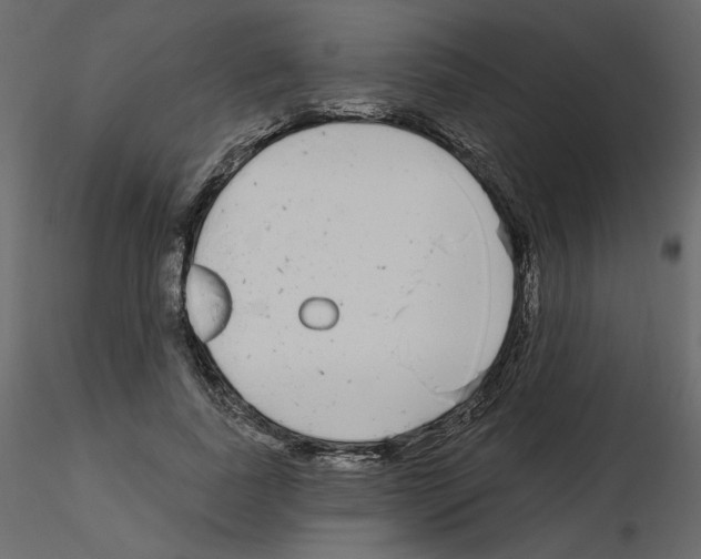X0000115690739200912241501