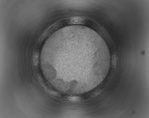 X0000115690741200912241501
