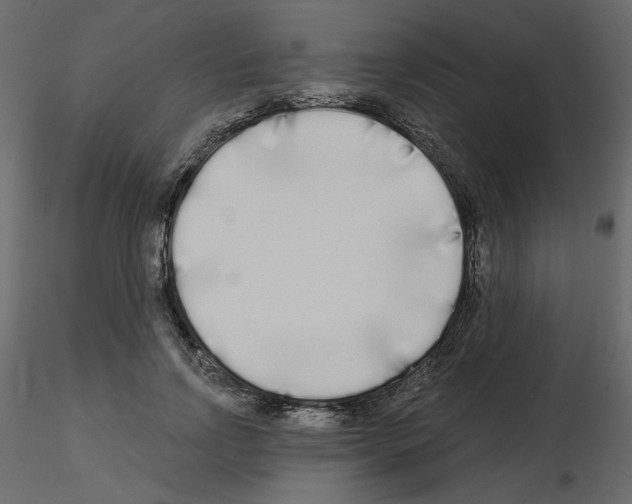X0000115690742200912241501